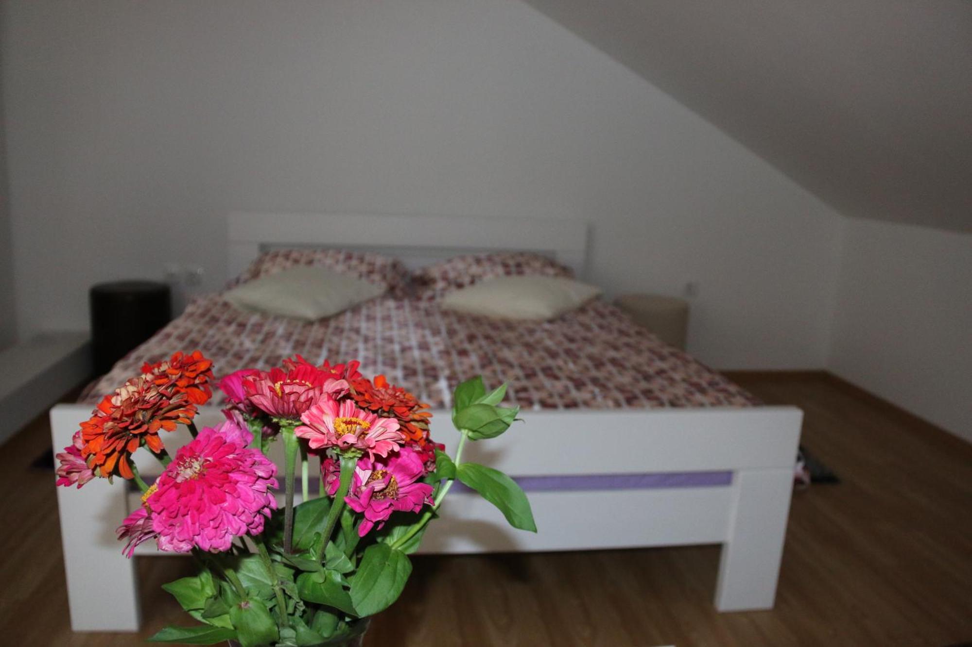 Hostel Art Gradiska Phòng bức ảnh
